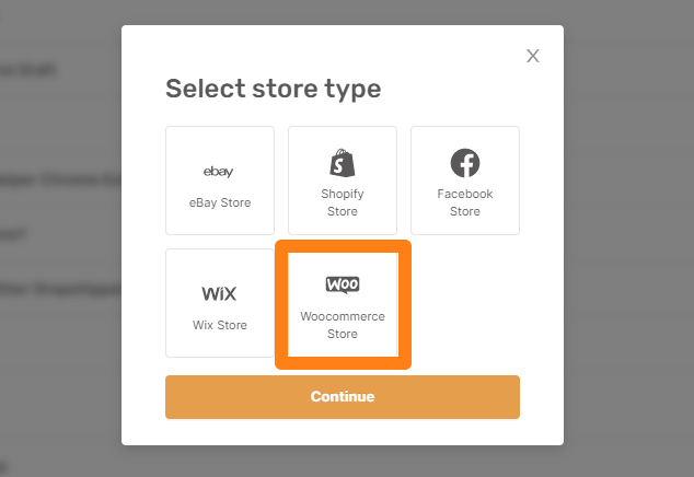 Select type of store added to AutoDS