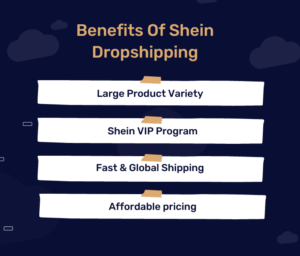 Shein Dropshipping - How To Start? And All You Need To Know