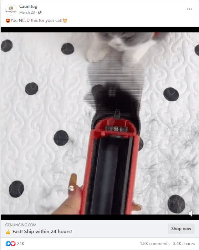 Pet Hair Remover FB top dropshipping products