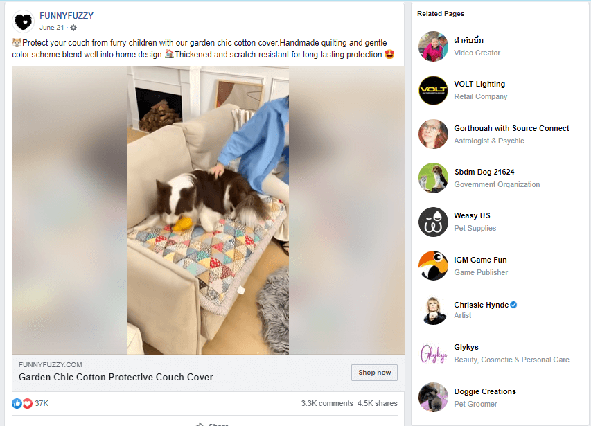 Cute Protective Couch Cover Seller’s Facebook Ad