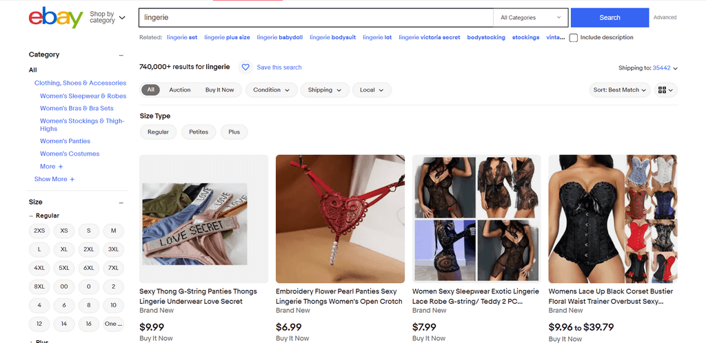 eBay dropshipping lingerie