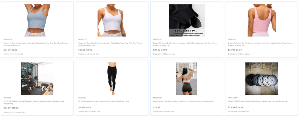 Fitness & Gym best dropshipping niches in 2024