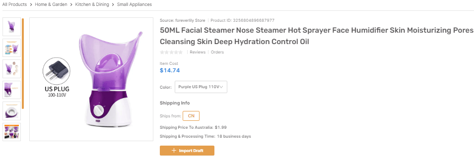 Beauty Facial Steamer shopify dropshipping products