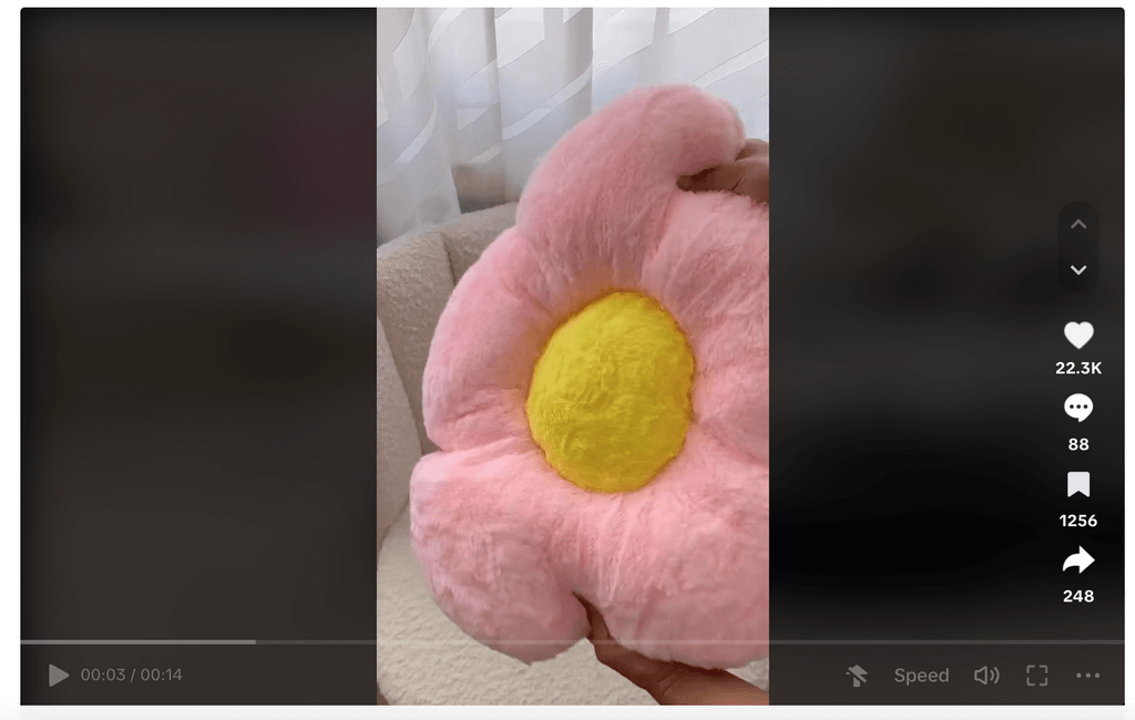 products to dropship flower cushion tiktok ad
