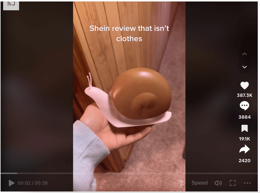 Products To Dropship March Snail Soap Container TikTok Ad