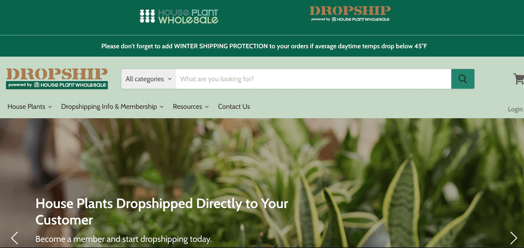 houseplant wholesale dropshipping plants