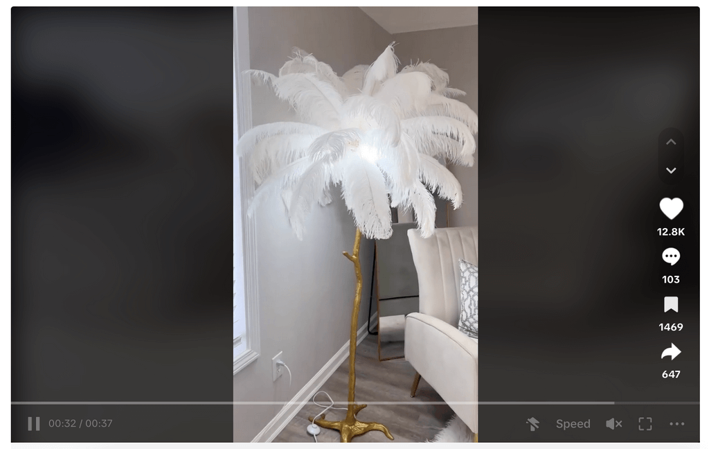 Luxury Feather Floor Lamp tiktok ad
