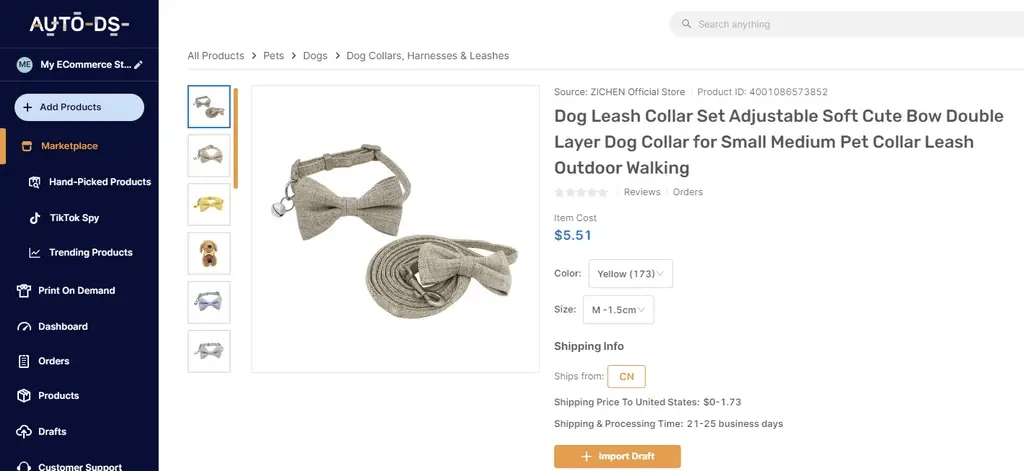 Dog Leash Collar Set