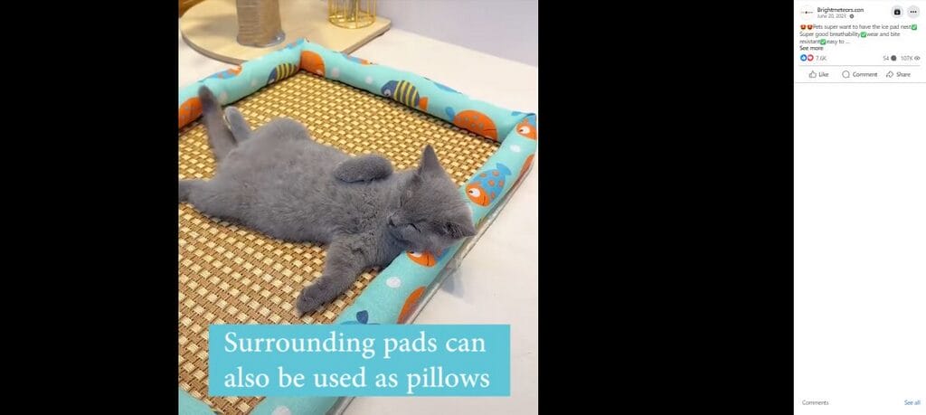 Summer Cat Bed Facebook Add