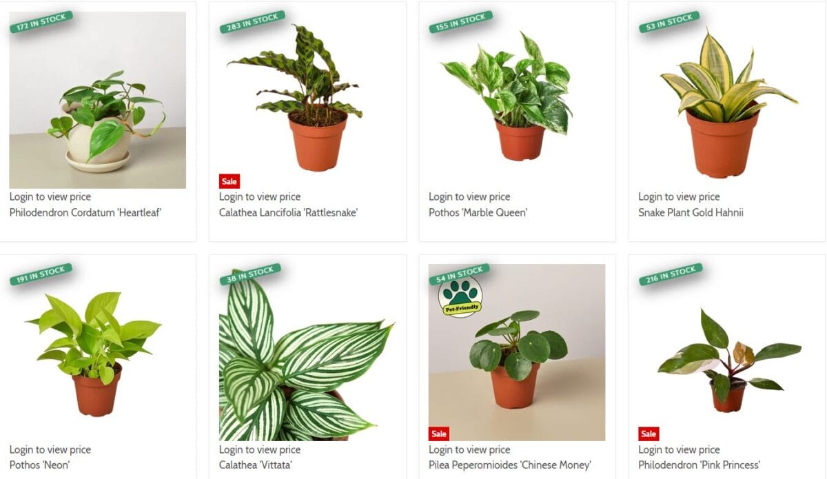 Indoor dropshipping plants