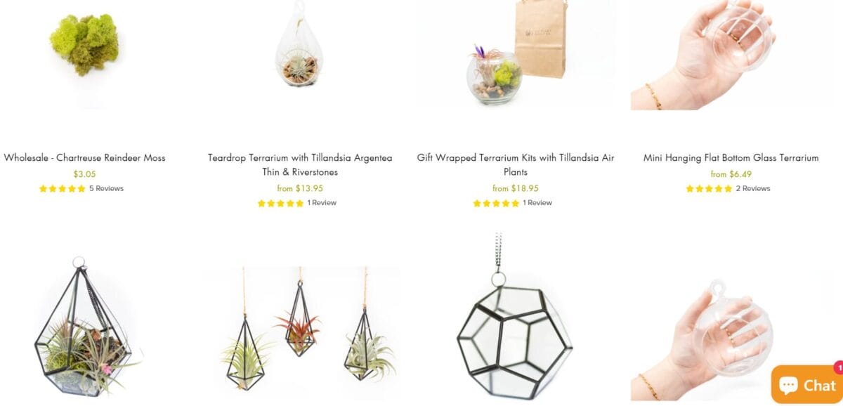 Terrariums and planters 